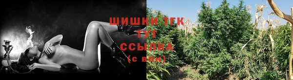 spice Абаза