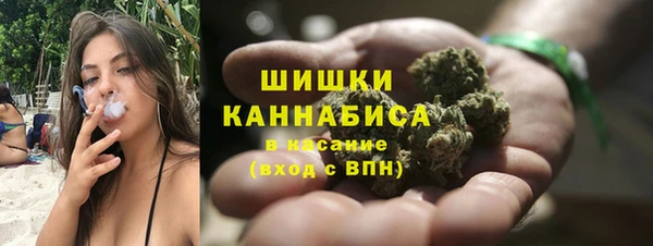 ГАЛЛЮЦИНОГЕННЫЕ ГРИБЫ Наволоки