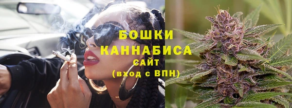 стафф Надым