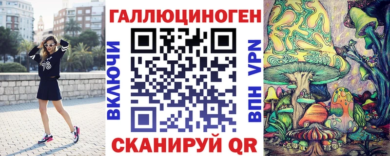 Псилоцибиновые грибы Cubensis  Новотитаровская 